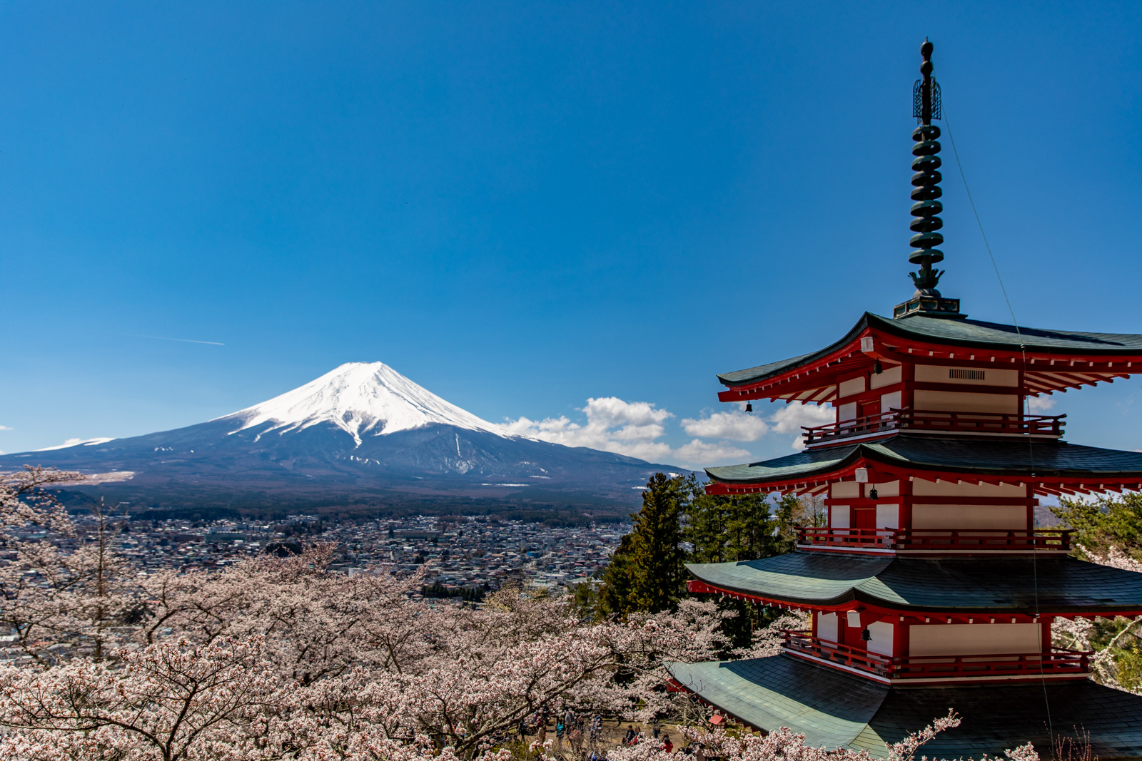 Mt Fuji